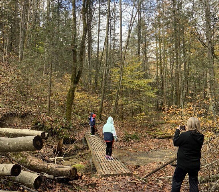 7 Unique Features of the Red River Gorge in Kentucky