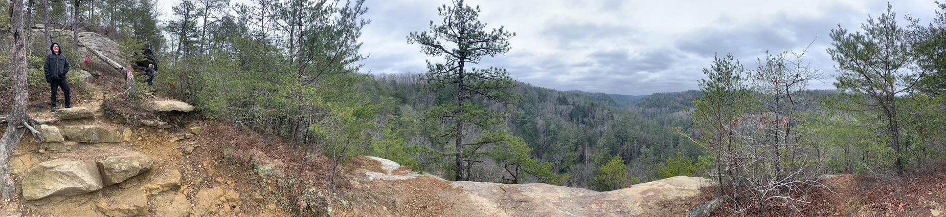 Hikers at Red River Gorge, KY overlook a forested valley. Adventure in Kentucky!