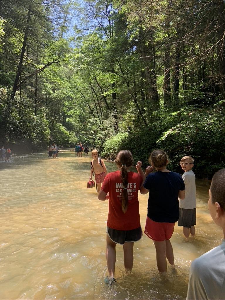Hikers wading through Creation Falls stream in Red River Gorge, KY. Family fun on a mystery hike!