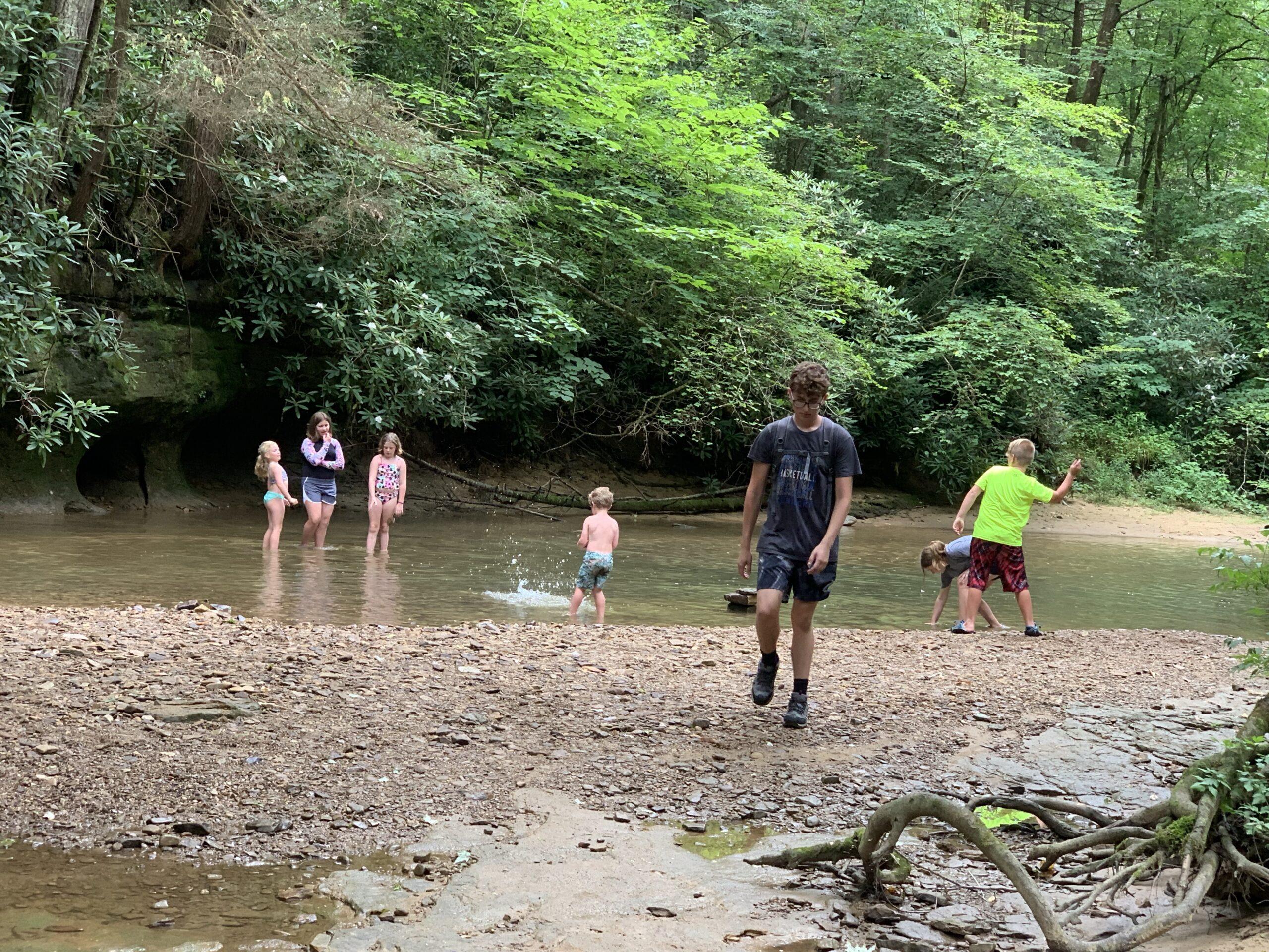 img_5954.jpg Kids swimming and playing in a creek at Red River Gorge, Kentucky. Summer fun in nature.
