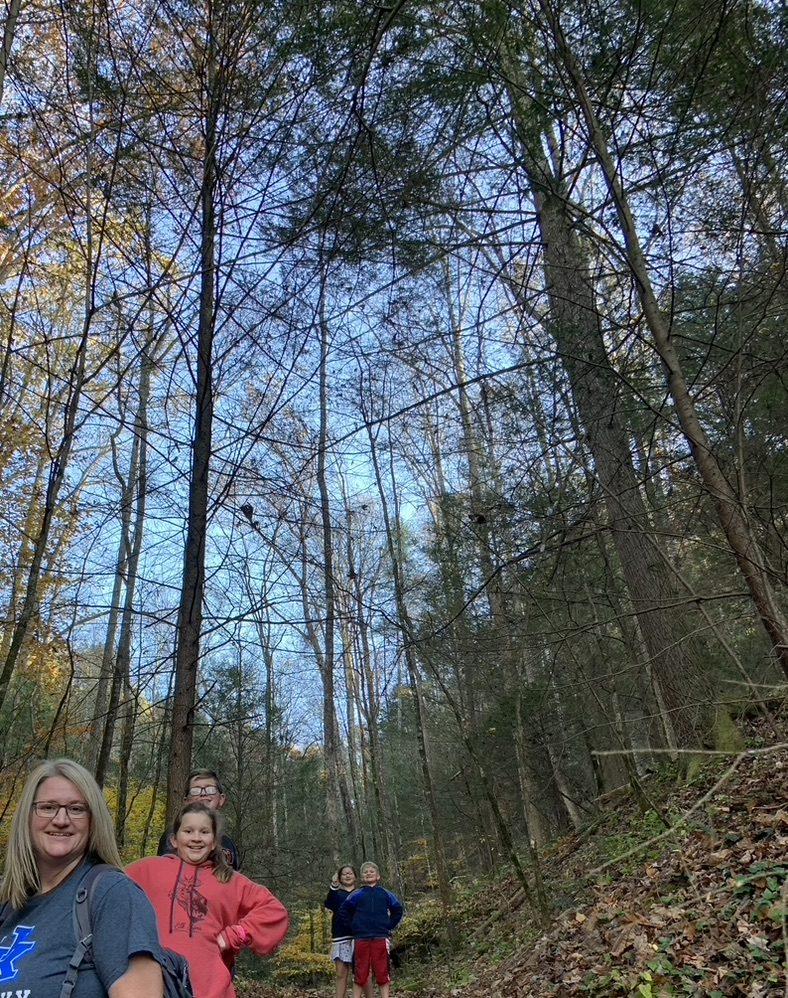 Family hiking in Red River Gorge, KY, enjoying nature. Mystery hike adventure!