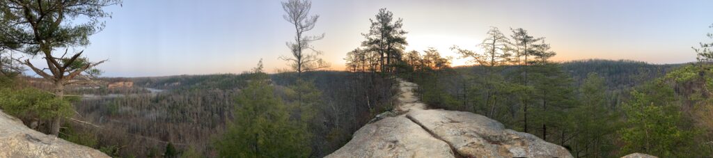 Red River Gorge KY: Sunny landscape with pine tree and rolling hills.