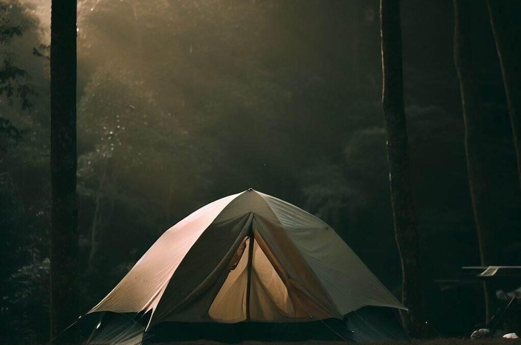 Best Camping Advice for Summer Camping at the Red River Gorge, Kentucky