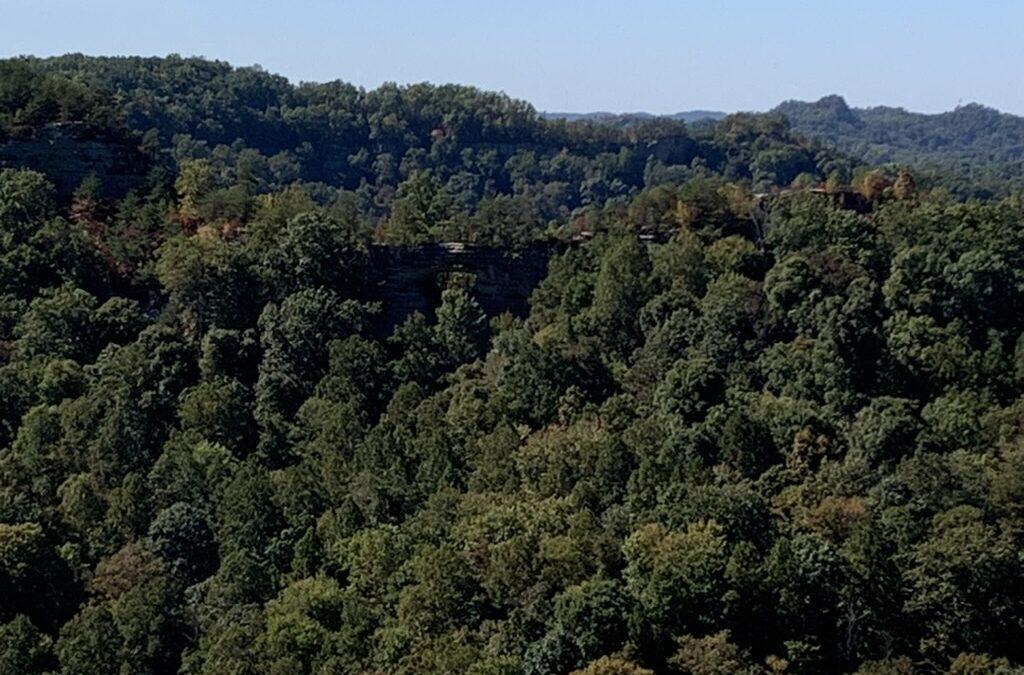 Exploring the Majestic Red River Gorge: A Hiker’s Paradise in Kentucky