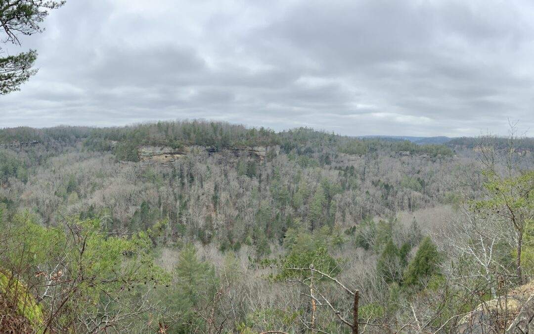 Things to Do at the Red River Gorge: 67 Must-Explore Trails for Your Adventure! (Your Complete Hiking Guide to the Gorge)