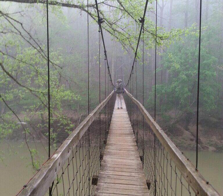 7 Reasons to Hike the Sheltowee Trace Trail at the Red River Gorge in Kentucky