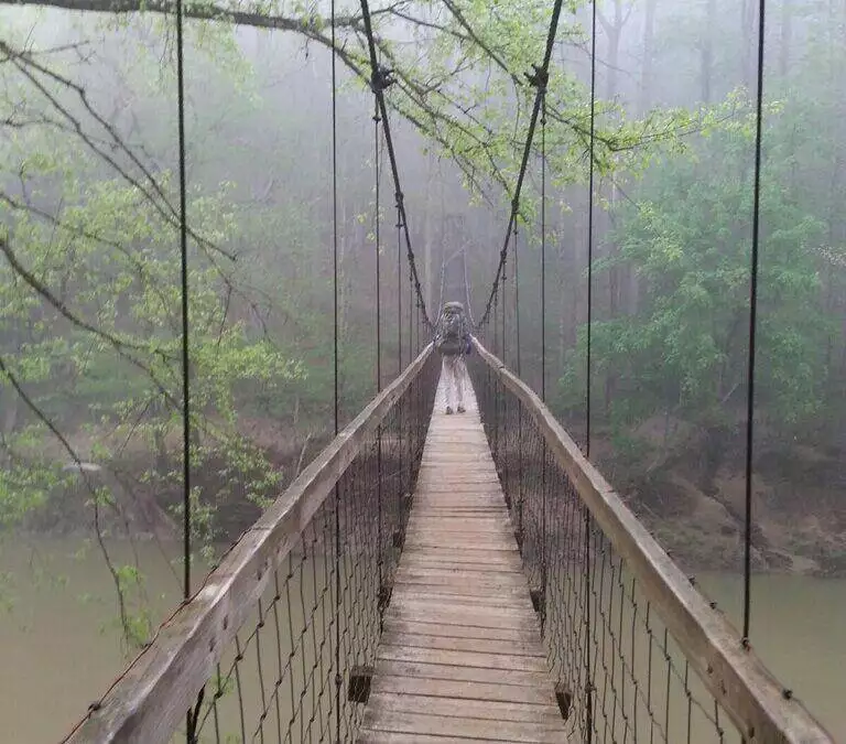 7 Reasons to Hike the Sheltowee Trace Trail at the Red River Gorge in Kentucky