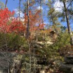 IMG 4147 15 Reasons Why You Should Hike the Indian Stair Case this Fall in the Red River Gorge, KY
