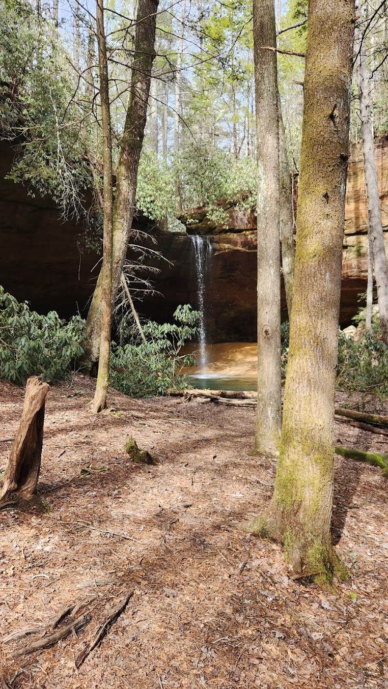 Waterfall at Red River Gorge, KY, framed by trees. Lush greenery and sandstone cliffs. Mystery hike adventure.